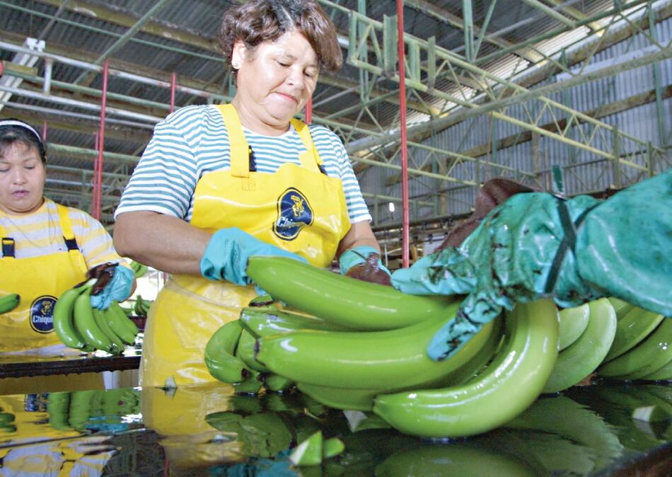 Exportaciones contabilizan $234.2 millones