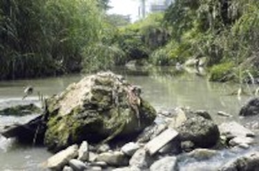 Histórico puente en el olvido