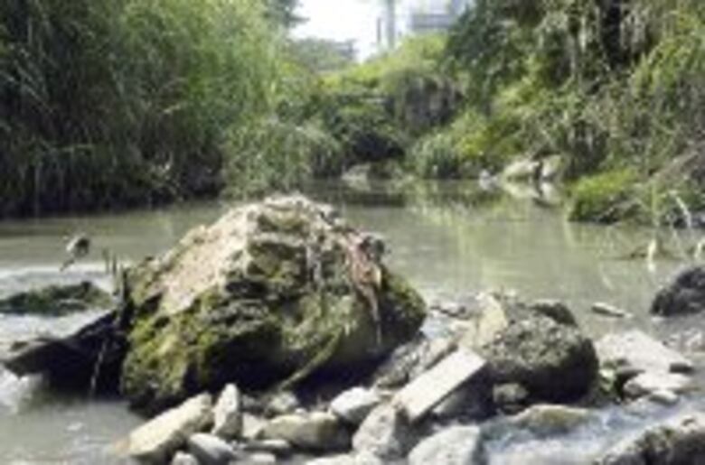 Histórico puente en el olvido