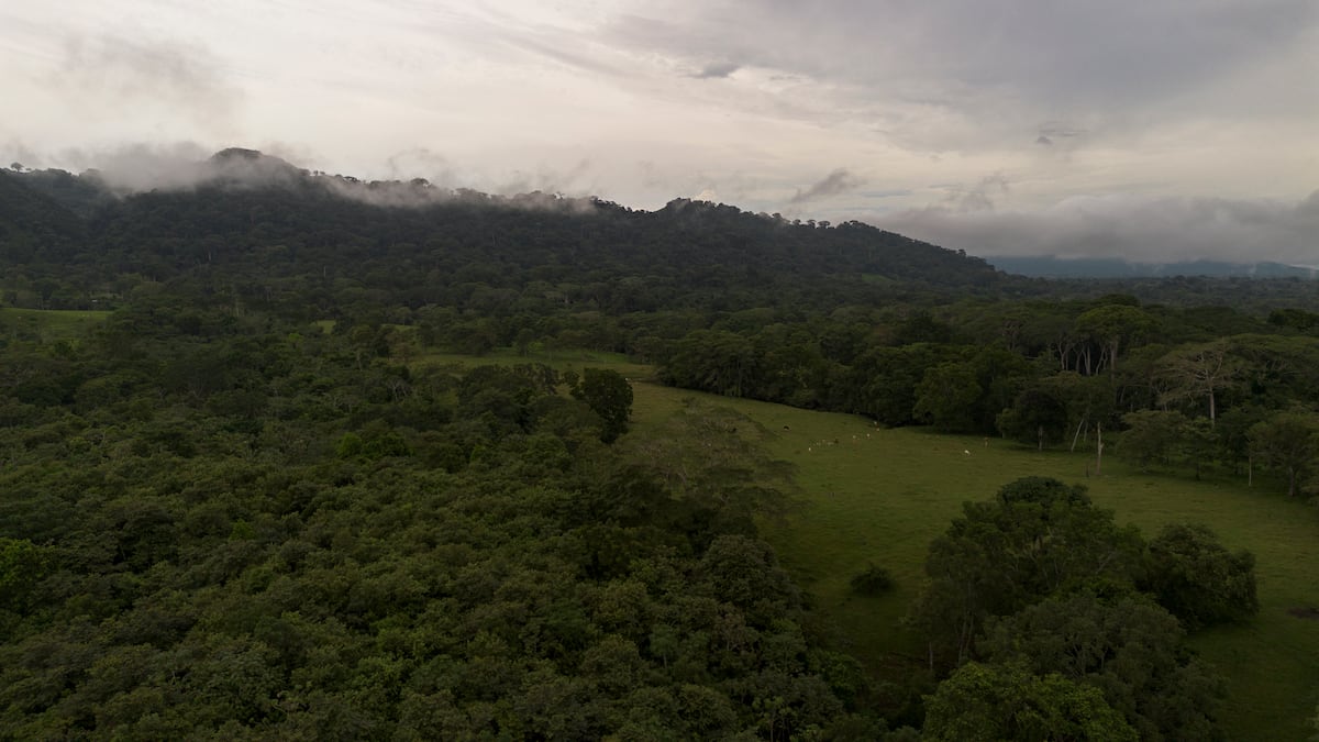 Un país más resiliente ante el cambio climático