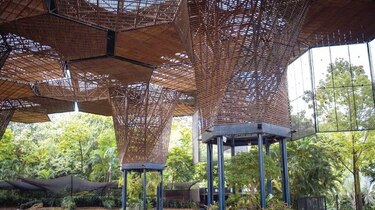 Medellín es sabrosura