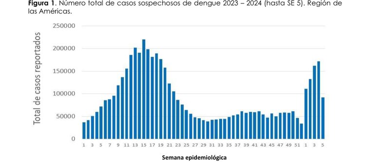Alerta epidemiológica: Continúa el aumento de casos de dengue en las Américas