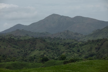 Otra concesión en la mira ¿Cuál es el estatus de minera Cerro Quema?
