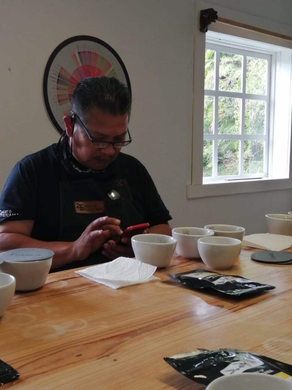 Jueces internacionales evaluarán unas 40 muestras del mejor café especial de Panamá