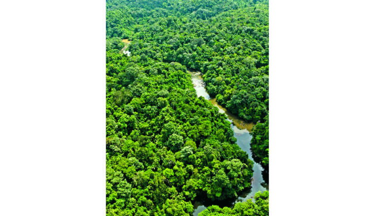¿Engaños en programas sociales?