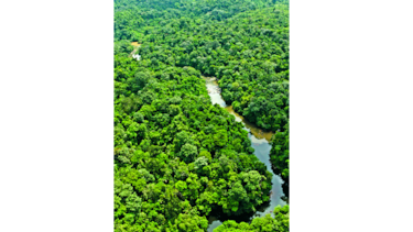 ¿Engaños en programas sociales?