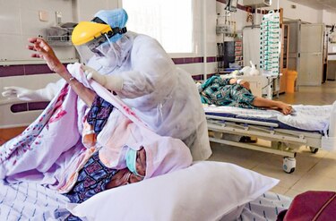 Un repelente con eucalipto puede matar el coronavirus, según estudio británico