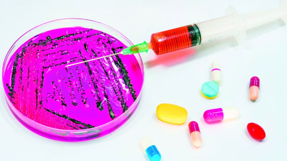 Líquenes de la Antártida contra superbacterias