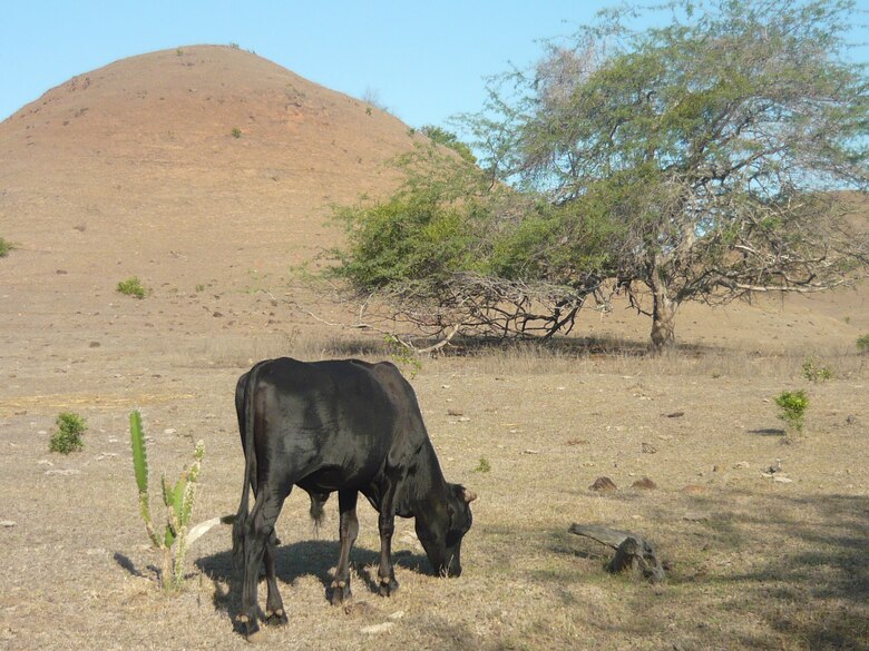 Choques climáticos pueden reducir hasta en 12% el PIB de varios países de Centroamérica
