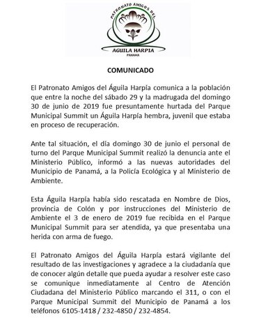 Hurtan águila harpía del parque Summit; presentan denuncia en el Ministerio Público