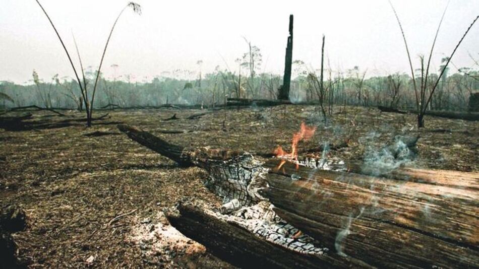 La agonía del Amazonas