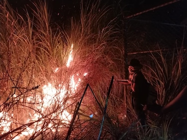 Incendio en un cerro de Los Andes afecta cerca de 10 hectáreas