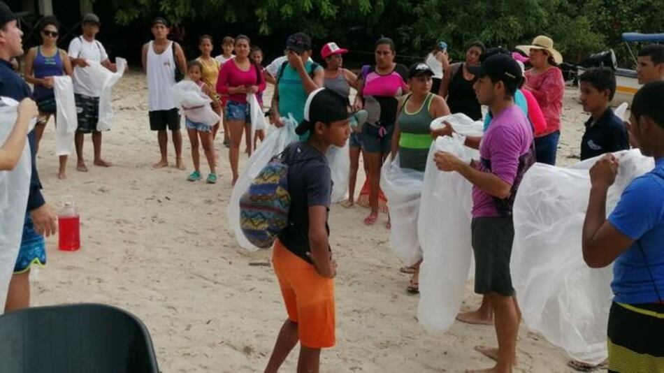 Voluntarios recogen desechos en isla Iguana