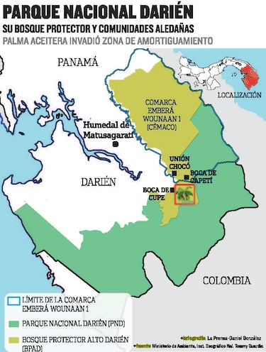 Evangelizando la palma aceitera