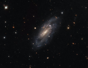 Hubble observa la imponente galaxia espiral UGC 11860