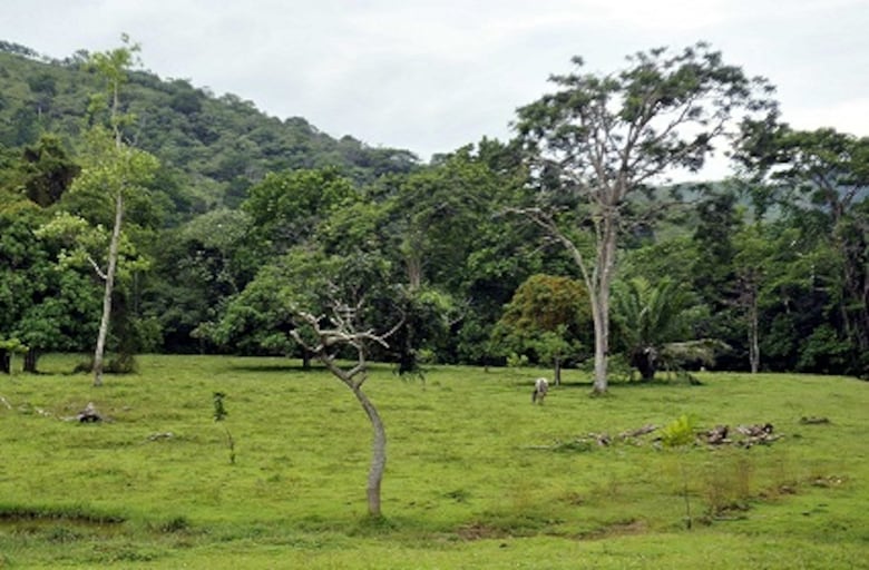 Exministra Alma Cortés, en manos del Ministerio Público