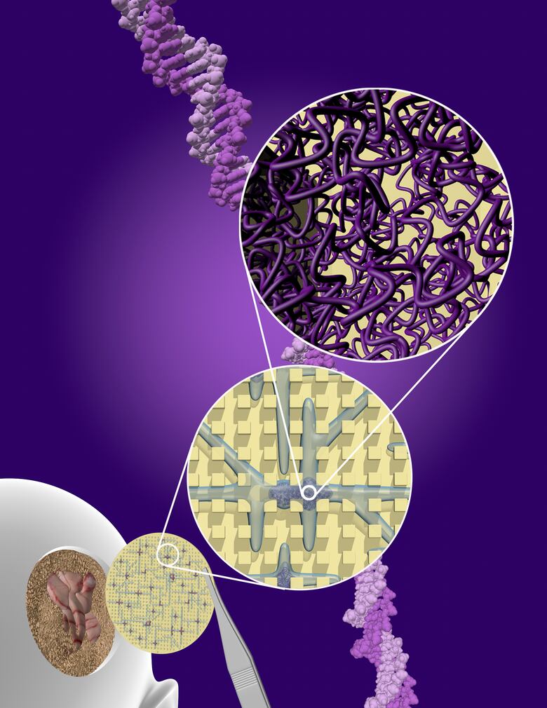 En el sendero de la regeneración ósea