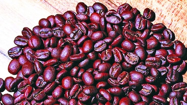 Tres fincas cafetaleras de Panamá destacan entre las mejores del mundo, según ranking