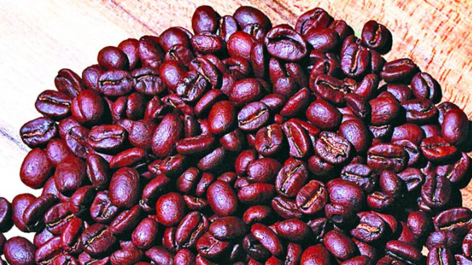 Tres fincas cafetaleras de Panamá destacan entre las mejores del mundo, según ranking