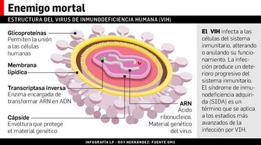 Las claves para combatir el VIH