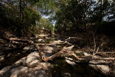 Carta abierta sobre la contaminación de los ríos La Villa y Estibaná