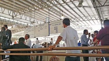 La plaza de las esperanzas