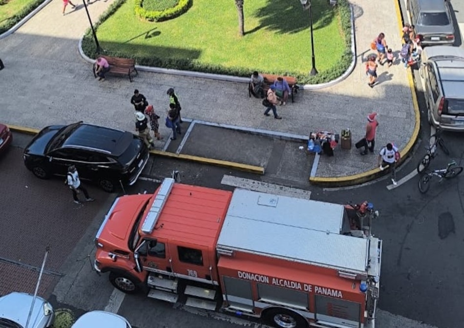 Ataque de abejas africanizadas deja personas afectadas en la Plaza 5 de Mayo