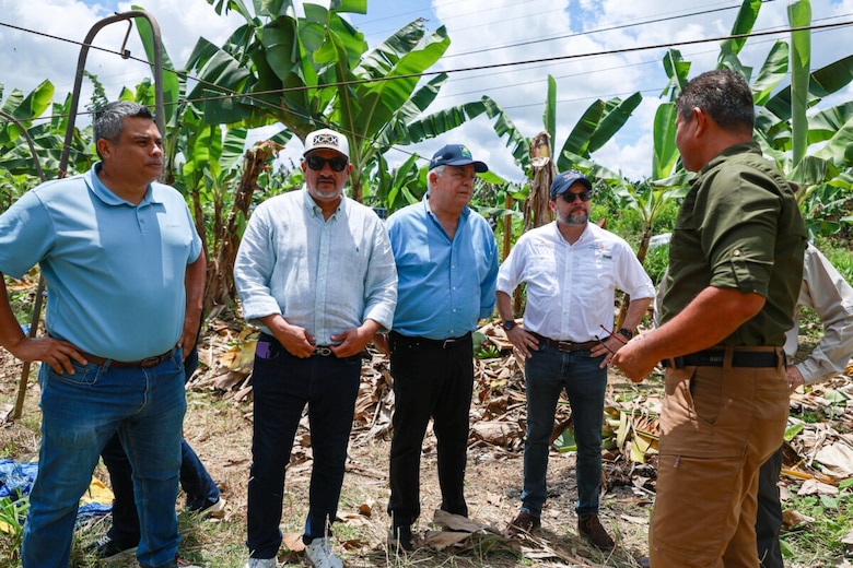 Lo que el gobierno de Panamá le ofreció a Chiquita para reactivar las fincas bananeras en Bocas del Toro