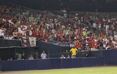 Panamá Metro, Campeón del Béisbol Mayor