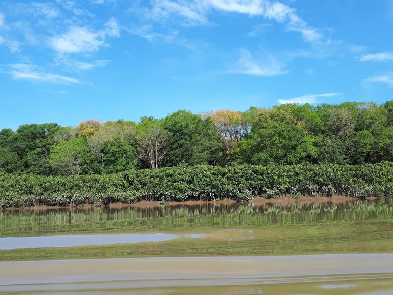 Darién gana un Sitio Ramsar: Matusagaratí