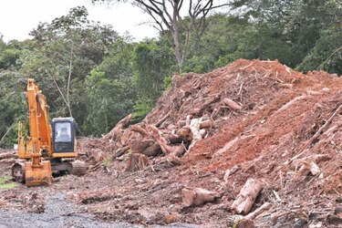 Ampliación de vía impacta áreas de Camino de Cruces