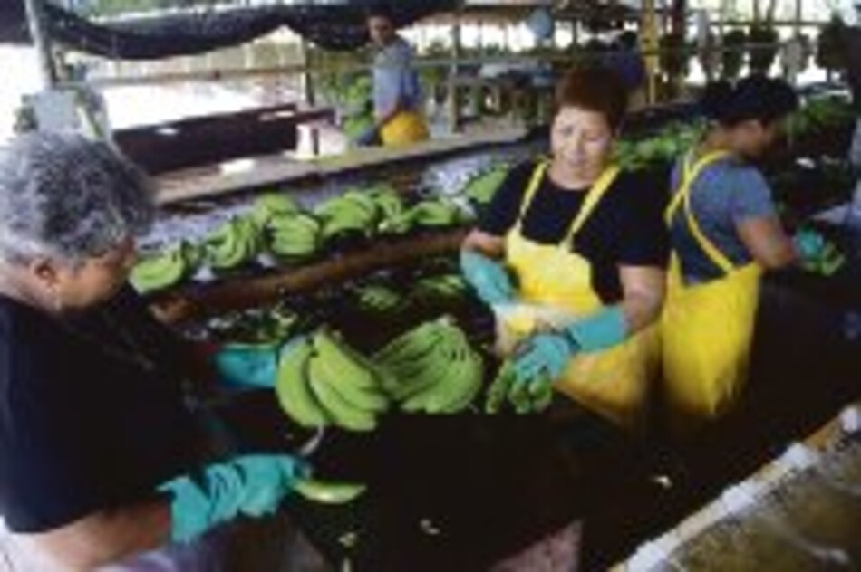 Se estanca el diálogo