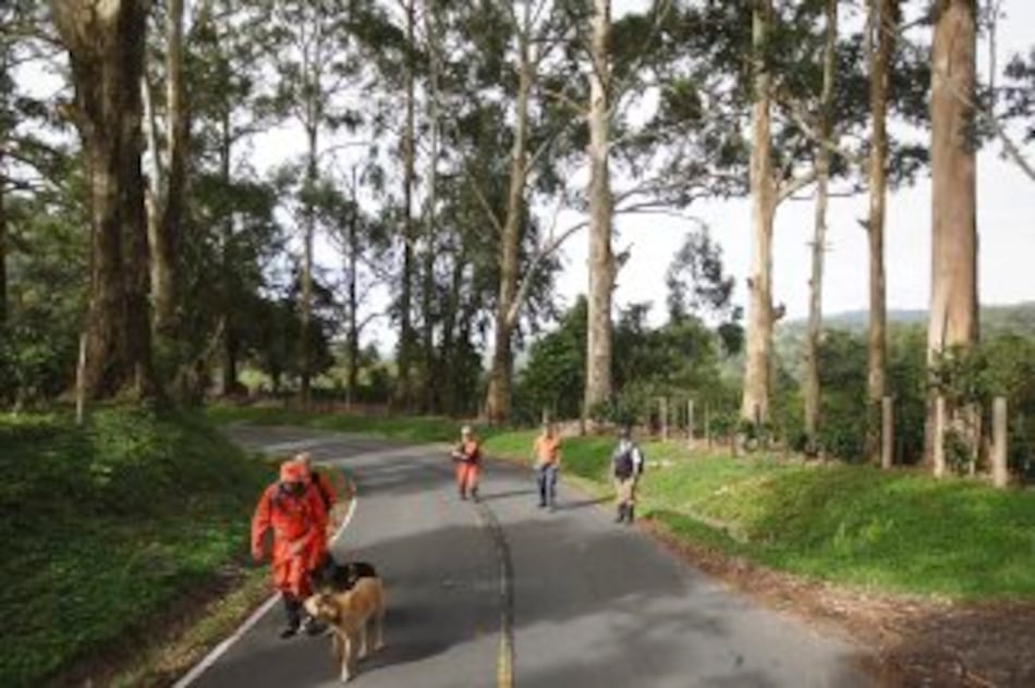 Sinaproc se extralimitó en investigación de holandesas