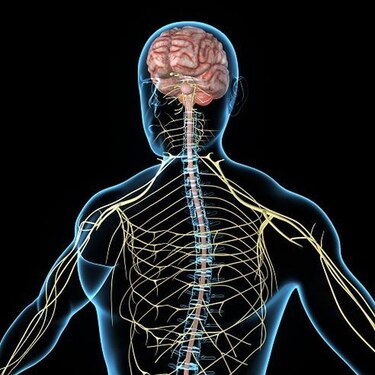 Esclerosis múltiple, su diagnóstico y tratamiento