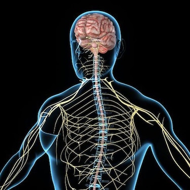 Esclerosis múltiple, su diagnóstico y tratamiento
