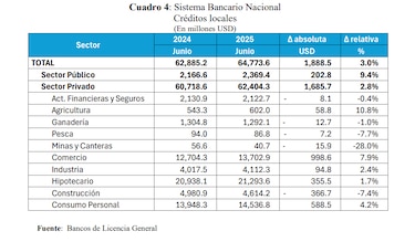 Mayor demanda de créditos para el agro, el comercio y los hogares impulsaron los préstamos bancarios en el primer semestre