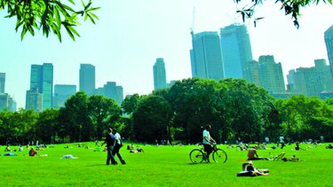 Cultivos en los parques públicos