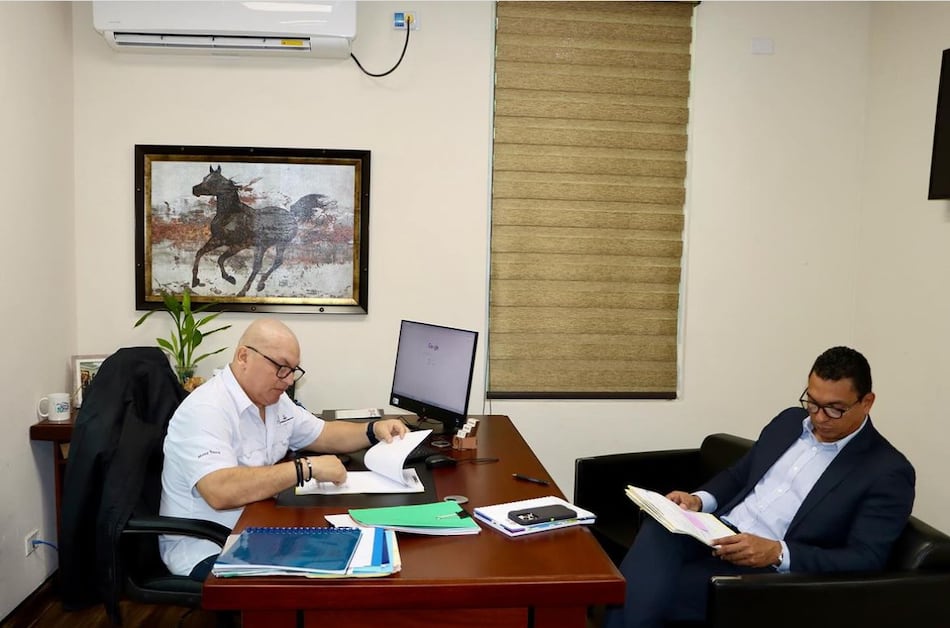 Descentralización paralela: manual para esconder información pública