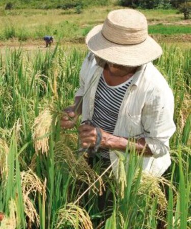 Importar alimentos trae sus riesgos