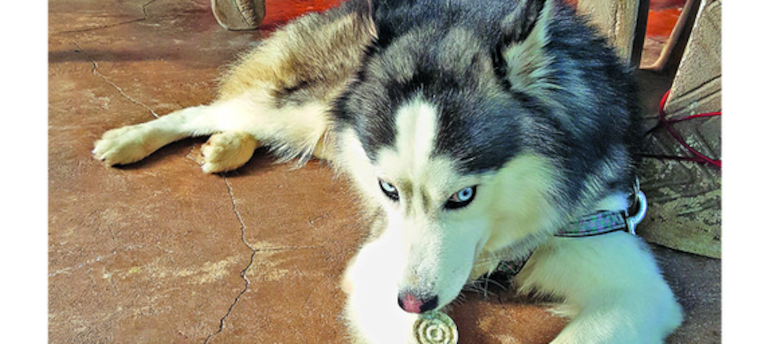 Orión, el futbolista