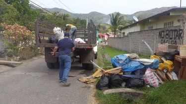 Salud: Se registran 118 casos de virus zika en Panamá