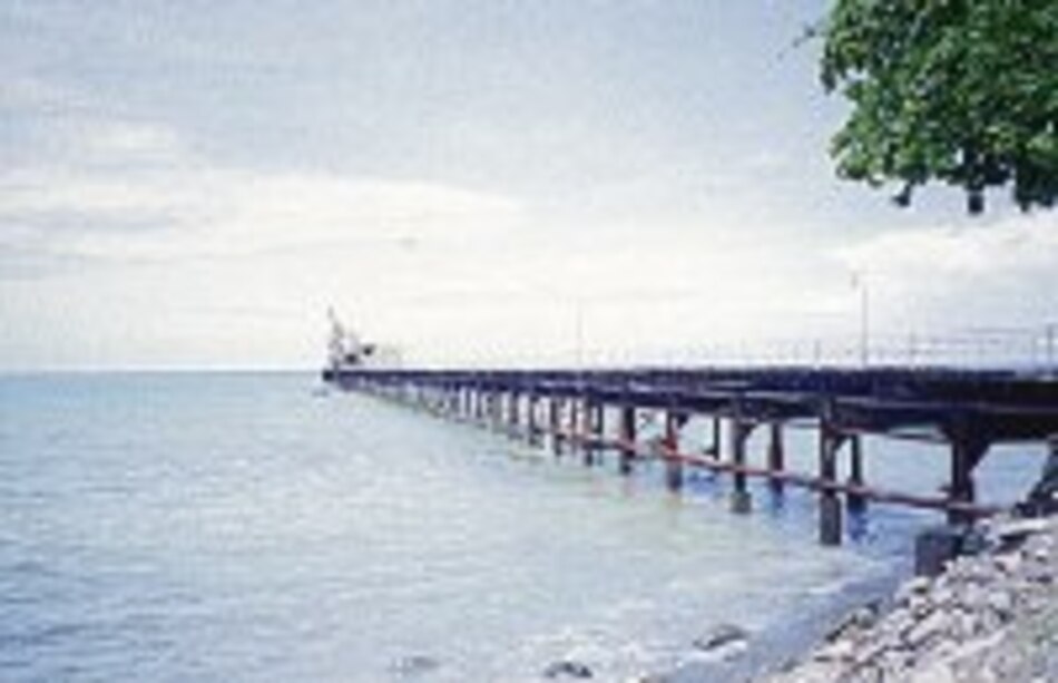 Zona Franca de Barú requiere un puerto