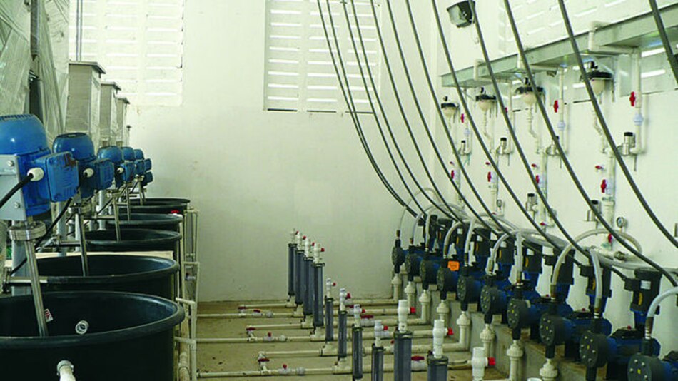 En Lajas Blancas llevan un mes sin agua