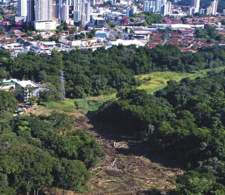 Encuentran vestigios de ruta histórica