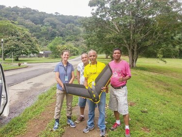 Drones ayudan a develar misterio sobre mortalidad de los árboles