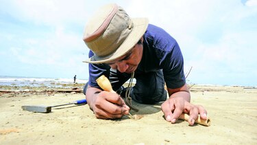 Joven brilla en el reino de los fósiles