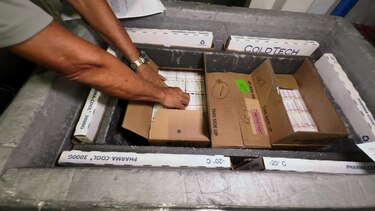 CSS inicia distribución de insulina en todo el país: más fármacos llegarán en enero