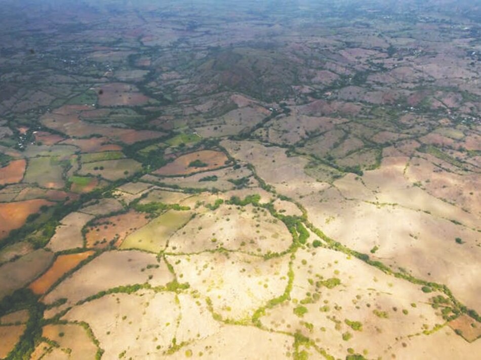 El Niño, ‘grande y poderoso’