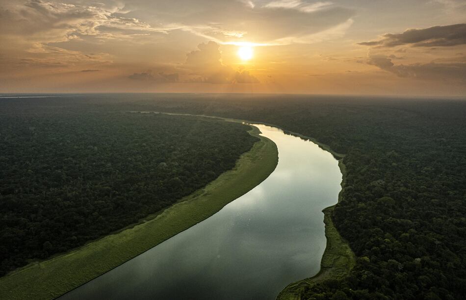 La crisis climática amenaza la vida de los delfines rosados del Amazonas colombiano