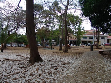 El Carmen